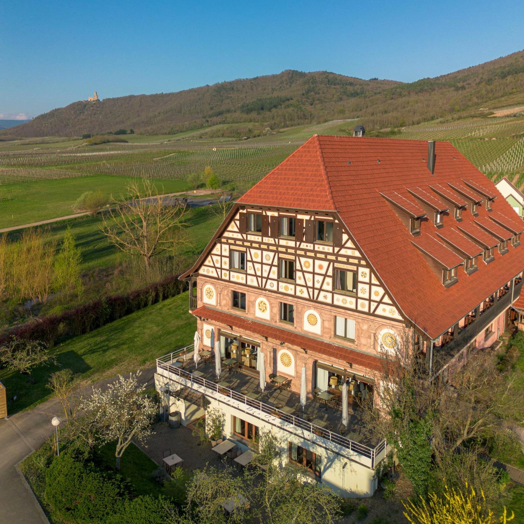 Hotel Restaurant Verger Des Chateaux, Route Des Vins Haut-Koenigsbourg Дифенталь Экстерьер фото