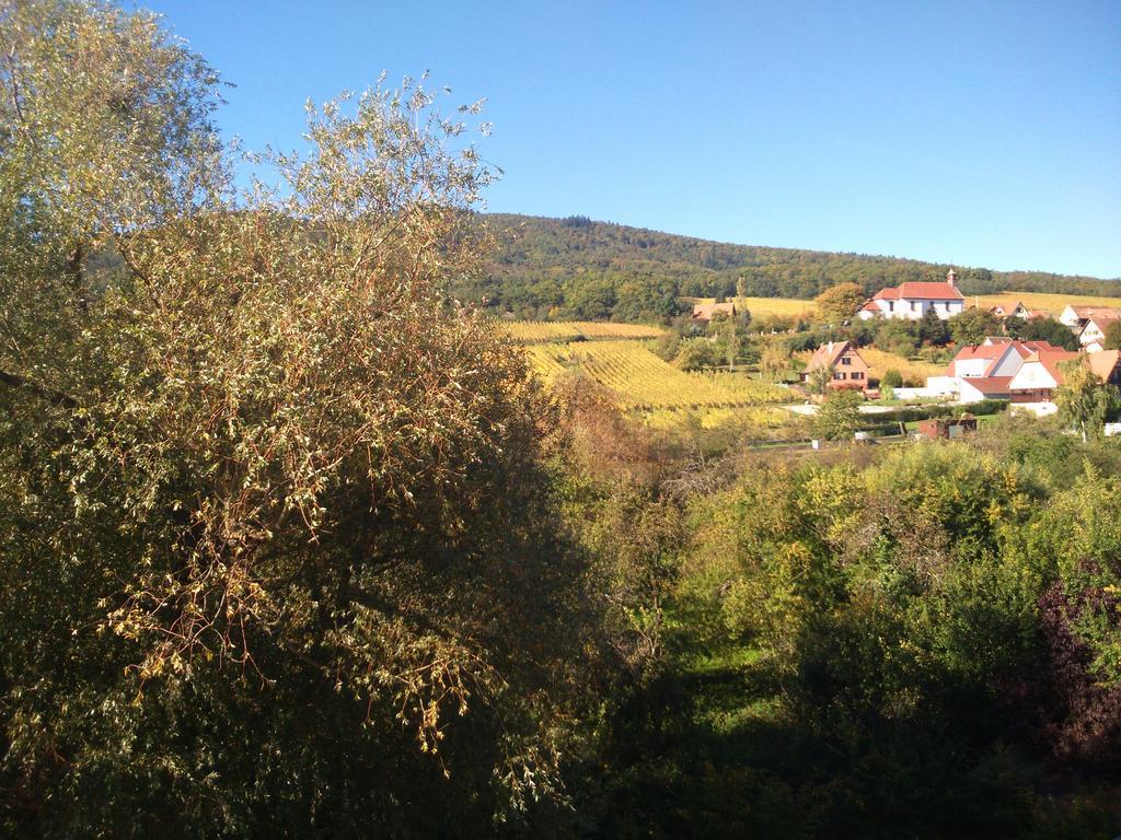 Hotel Restaurant Verger Des Chateaux, Route Des Vins Haut-Koenigsbourg Дифенталь Экстерьер фото