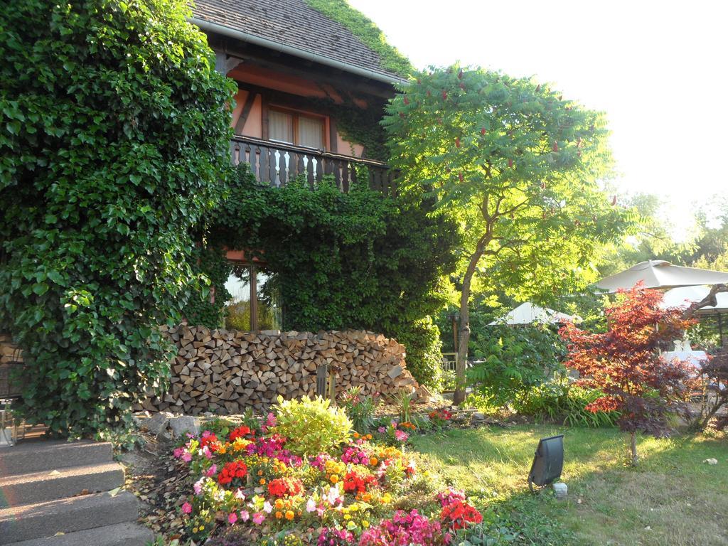 Hotel Restaurant Verger Des Chateaux, Route Des Vins Haut-Koenigsbourg Дифенталь Экстерьер фото