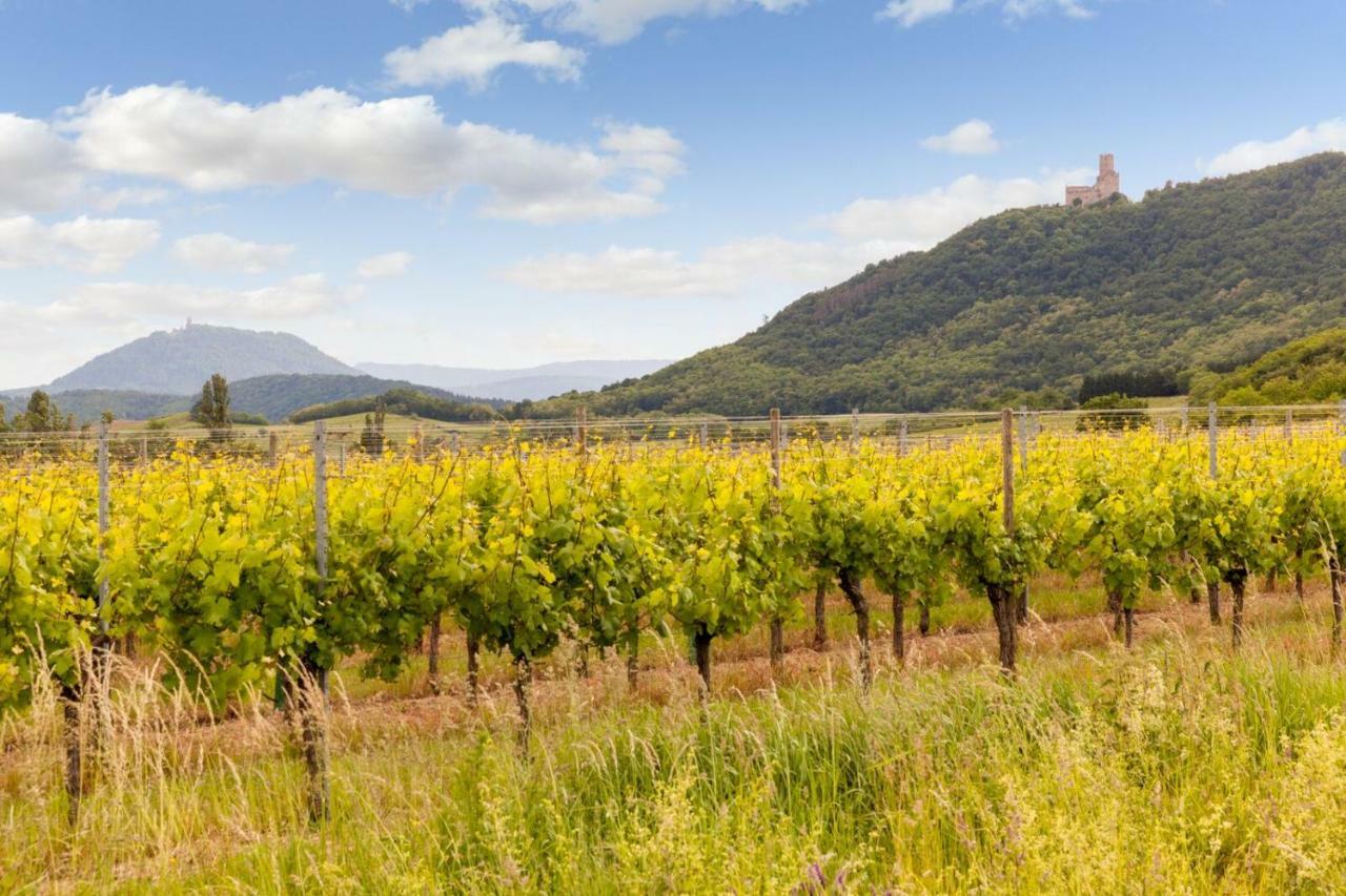 Hotel Restaurant Verger Des Chateaux, Route Des Vins Haut-Koenigsbourg Дифенталь Экстерьер фото